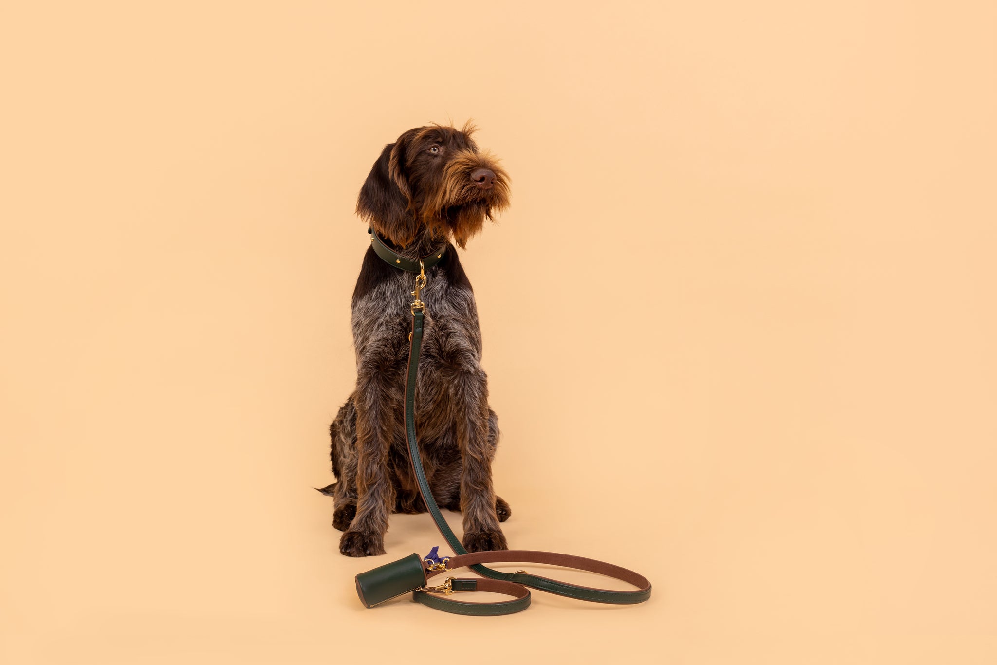 Apple Leather Leash in Winter Green