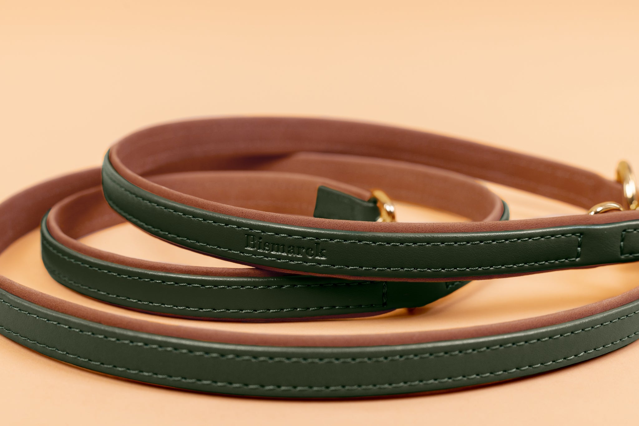 Apple Leather Leash in Winter Green